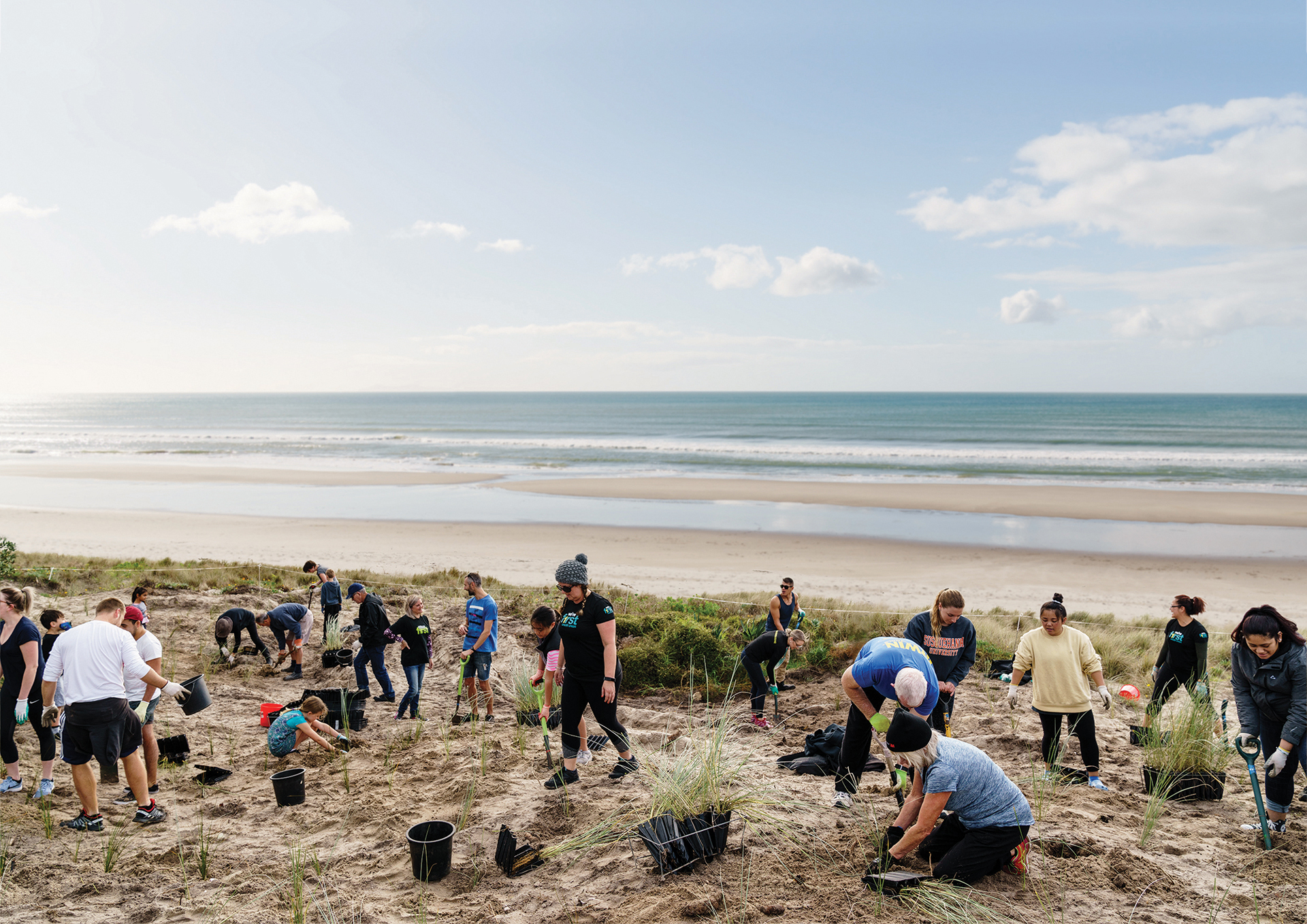 Group of people planting on the beach